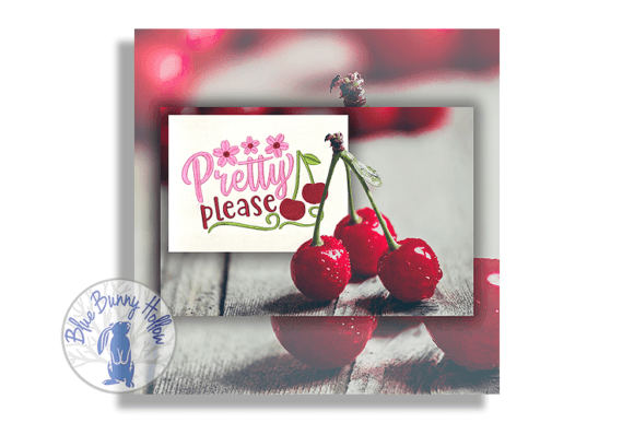Pretty Please Embroidery Design Review